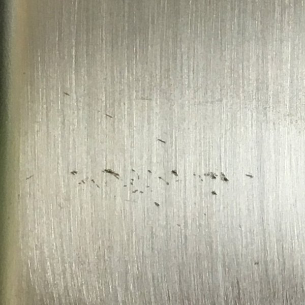 画像3: アウトレット品 純銅製 卓上おろし金・薬味用 手のひらサイズ (3)